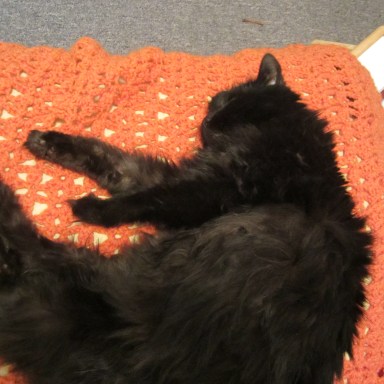 I tried to get a picture of the "Storytime" afghan from "Afghans for all Seasons", by Leisure Arts.