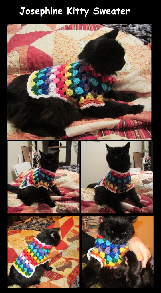 Josephine Kitty Sweater Collage