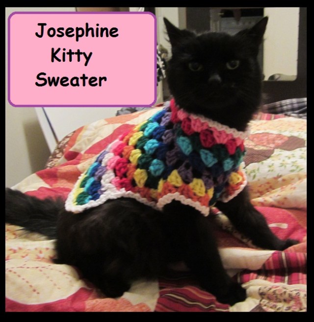 Josephine Kitty Sweater Front 1