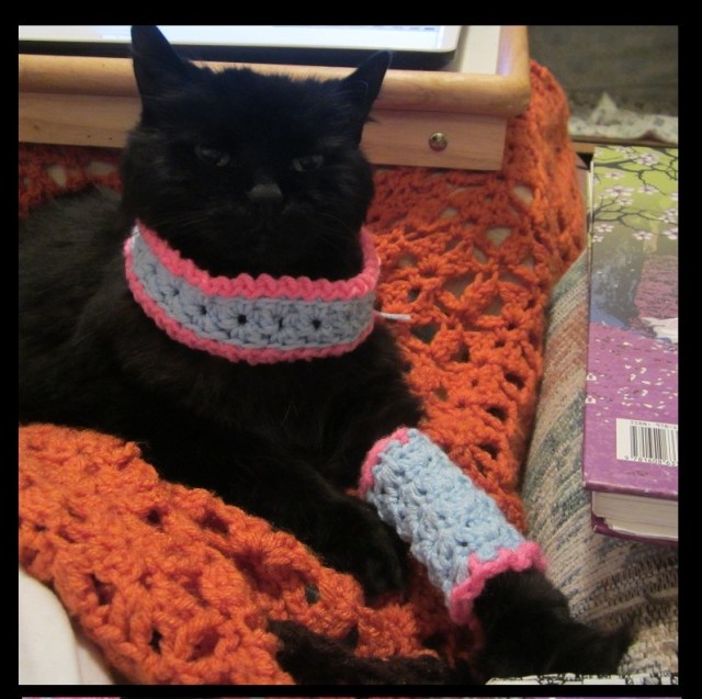 MA leggins cowl front