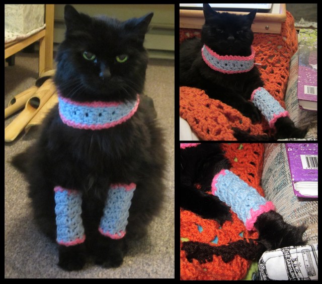 Marie Antoinette Kitty Leggins