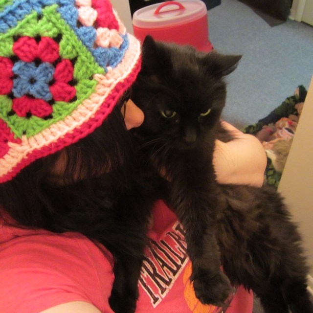 Now take adorable pictures with your kitty cat!!!