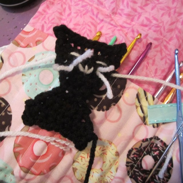 front of pocket kitty face