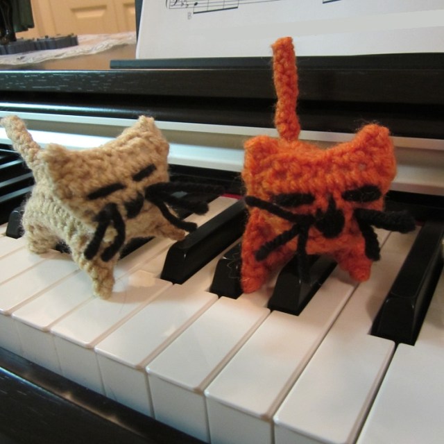 Kitty piano close up