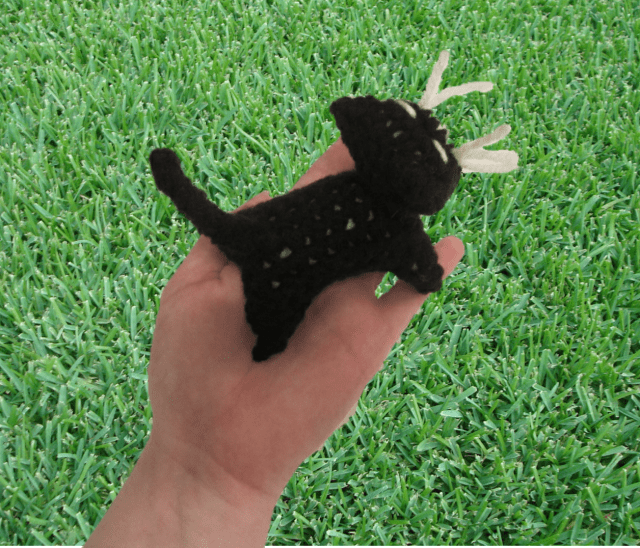 pocket kitty grass 2